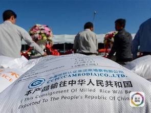 老挝小伟爆料新闻,揭秘当地热点新闻背后的真相