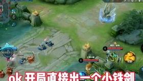 葵花皮肤爆料视频